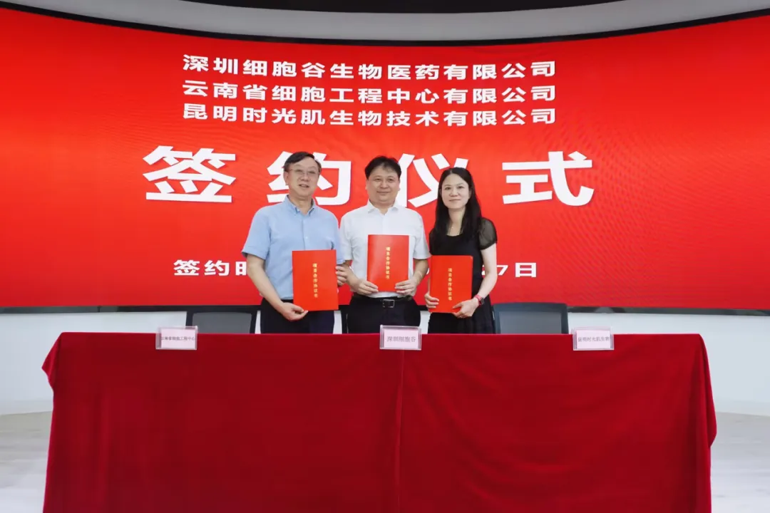 深圳凯发K8生物医药有限公司、云南省细胞工程中心有限公司及昆明时光肌生物技术有限公司达成战略合作