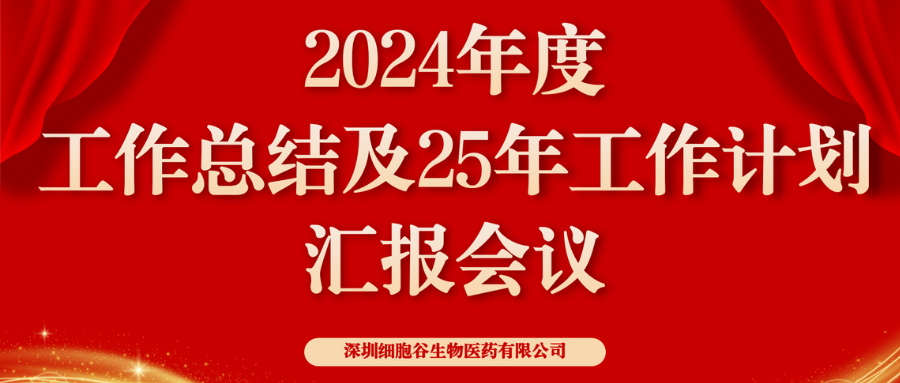 以初心致未来，共筑新辉煌 ——深圳凯发K82024年度管理层总结会顺利召开