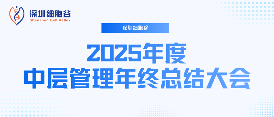 深圳凯发K8召开2025年度中层管理年终总结大会：多点布局成果丰硕，创新驱动快速开展