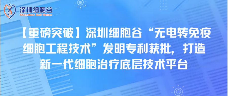 【重磅突破】深圳凯发K8“无电转免疫细胞工程技术”发明专利获批，打造新一代细胞治疗底层技术平台